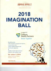 THE-IMAGINATION-BALL-NOV-32018-FLYER.jpg